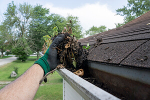 Why you NEED to clean your gutters and how to do it!